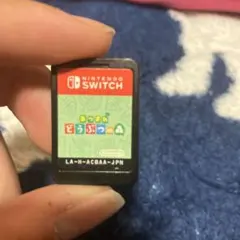 あつまれ どうぶつの森 Nintendo Switch