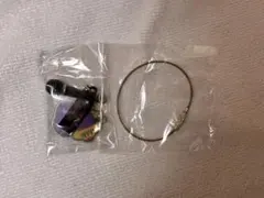チラズアート アイテムチャームマスコット　ヒトカラ