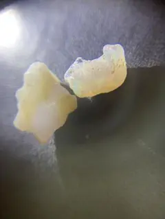 エチオピアオパール　原石