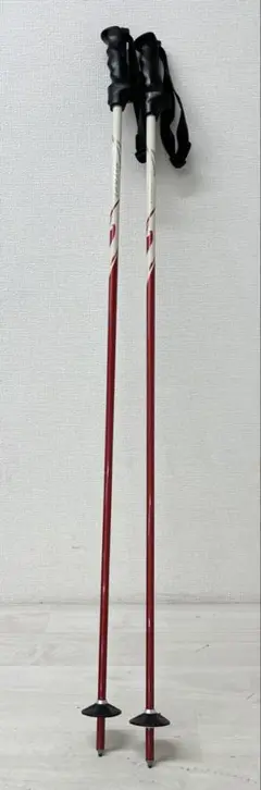 KIZAKI スキーストック カーボン 110cm KPC:3000 スキー