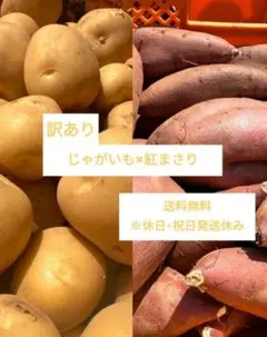 訳ありじゃがいも×紅まさり　合計5kg 茨城県行方市産のサムネイル