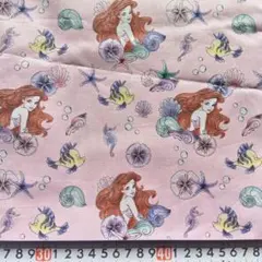 Item thumbnail for item c4861f8d-9660-4e87-b695-72e994d3198d