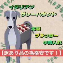 2026年最新】イタリアグレーハウンドの人気アイテム - メルカリ