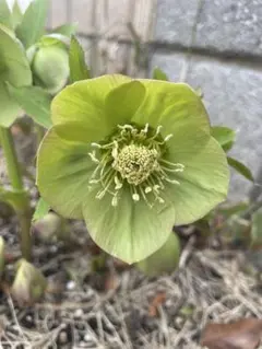 xdye777様 リクエスト 2点 まとめ商品