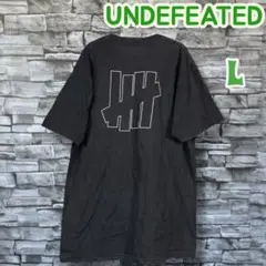 Undefeated アンディフィーテッド ロゴ プリント Tシャツ L