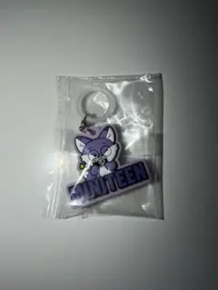 MINITEEN ぷっくりめじるしアクセサリー ウォヌ