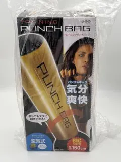 Item thumbnail for item 3f49065f-f119-45e4-8217-42de957feb48