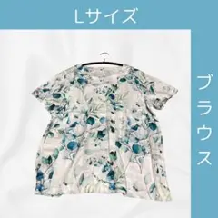 ブラウス　トップス　半袖　丸首　飾りボタン　ラウンドネック