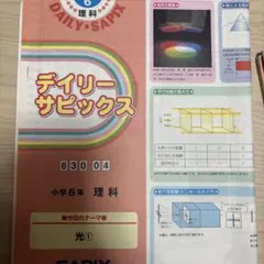 2026年最新】デイリーサピックスの人気アイテム - メルカリ