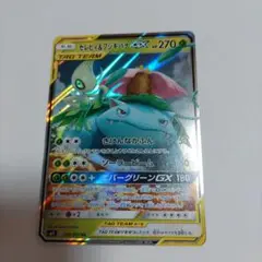 セレビィ＆フシギバナGX RR