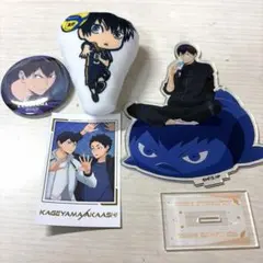 騎士x 日本武道館 缶バッジ 等身 タケヤキ翔 - メルカリ