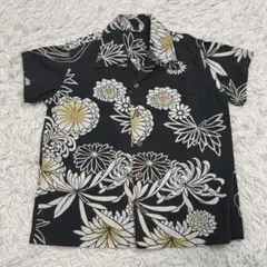 80センチ エゾハスカップ苗木 ☆防虫対策済み☆ - メルカリ