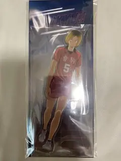 音駒 アクリルスタンド 孤爪研磨