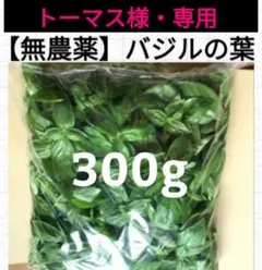 トーマス様・専用【300g】バジルの葉/ネコポスの箱に約300g /農薬不使用のサムネイル