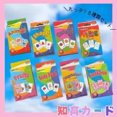 フラッシュカード 英語 知育 知育カード 英語カード 英語教材 キッズ 幼児英語
