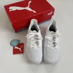 Item thumbnail for item feb9ab8b-9fdc-4250-868c-ef317fa235ba