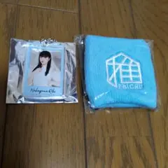 Item thumbnail for item b2219451-0695-4095-8f9a-bc70731b7c4a