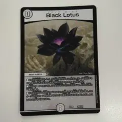 ブラックロータス　BBP　2枚 ブラックロータス BBP 2枚 Black Lotus》の商品検索 | 日本最大