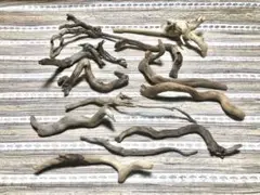 流木 12個セット!