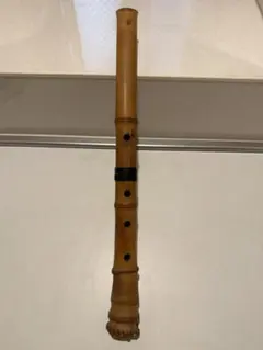 2025年最新】精華 尺八の人気アイテム - メルカリ