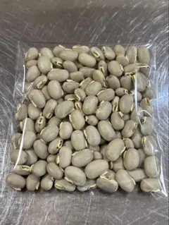 【自然栽培・沖縄県産】ムクナ豆（八升豆）100g／2025年2月収穫