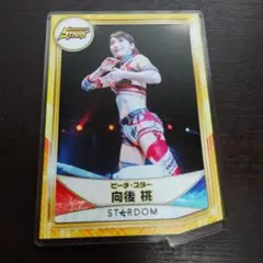 LL　スターダム　向後桃　複製サイン入り着用ステッカー付　トレーナー、他　M　L LL スターダム 向後桃 複製サイン入り着用ステッカー付
