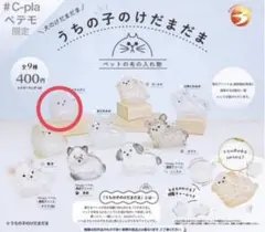 正規品 うちの子のけだまだま ポメラニアン