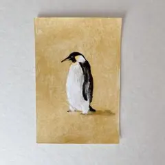 【原画】ペンギン/手描き/一点もの