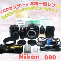 ✨️Nikon D80✨人気CCDモデル 一眼デビューセット 高画質 簡単操作 ✨️Nikon D80✨人気CCDモデル 一眼デビューセット 高画質 簡単操作