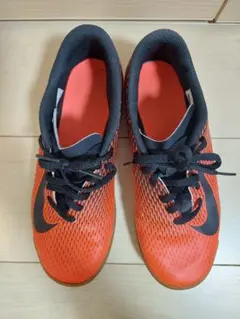 Item thumbnail for item 6d4b697f-6fb8-4978-b97a-dd8240ffe46f