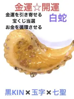 黒KIN✖️玉字✖️七聖☆白蛇とオルゴナイトの最強波動トレイ