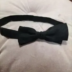 Item thumbnail for item 1e1cdc58-ce8e-40ee-9932-acecbb3492fb