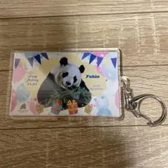 2025年最新】アドベンチャーワールド パンダ キーホルダーの人気