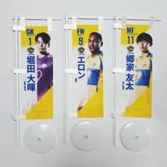ベガルタ仙台 ミニのぼり 1.9.11