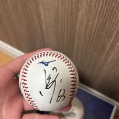 npb実使用公式球