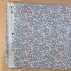 リバティプリント タナローン ベネディクト 150cm