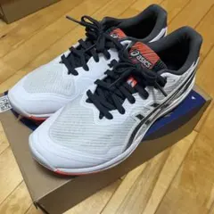 ローテジャパンライト