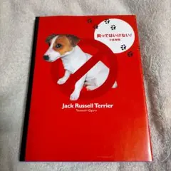 飼ってはいけない! Jack russell terrier