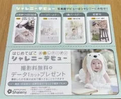 シャレニー　撮影券　クーポン