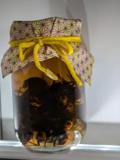 2025年最新】スズメバチ焼酎の人気アイテム - メルカリ