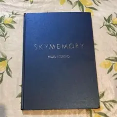 Kozo Nishino: SKY MEMORY　西野康造
