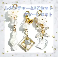 レジン チャーム