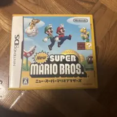 New Super Mario Bros パッケージのみ