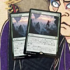 ⭐︎フォロワー割開催中⭐︎ MTG / 精霊信者の覚醒
