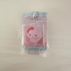 ジュエルペット パッケージミニチュアチャーム ガーネット