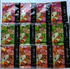 ㉜新作!マスカット❣️華切子❣️珊瑚の花❣️祭囃子❣️発根済! メルカリ便込 2026年最新】#華の人気アイテム - メルカリ