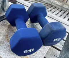 8KG 六角形ダンベル 2個セット