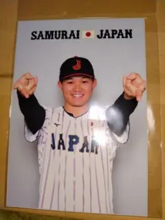 侍ジャパン　森下選手ブロマイドセット