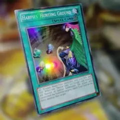 遊戯王 英語版 ハーピィの狩場 スーパー LCJW-EN102