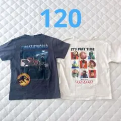 ジュラシック&トイストーリー 半袖Tシャツ2枚まとめセット(120㎝)